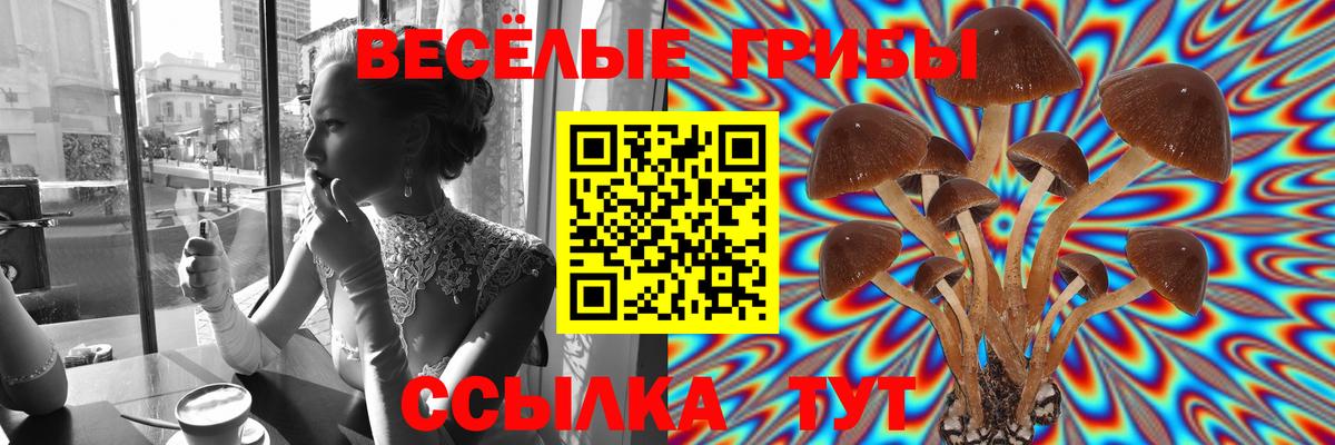 Заволжье  Псилоцибиновые грибы Psilocybine cubensis  Вход с VPN 